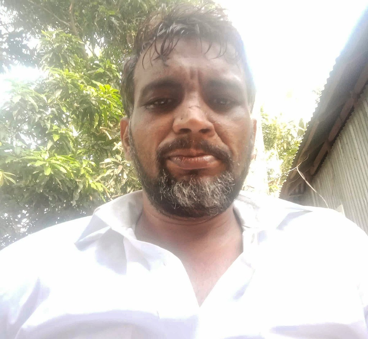 মাসুদ শেখ