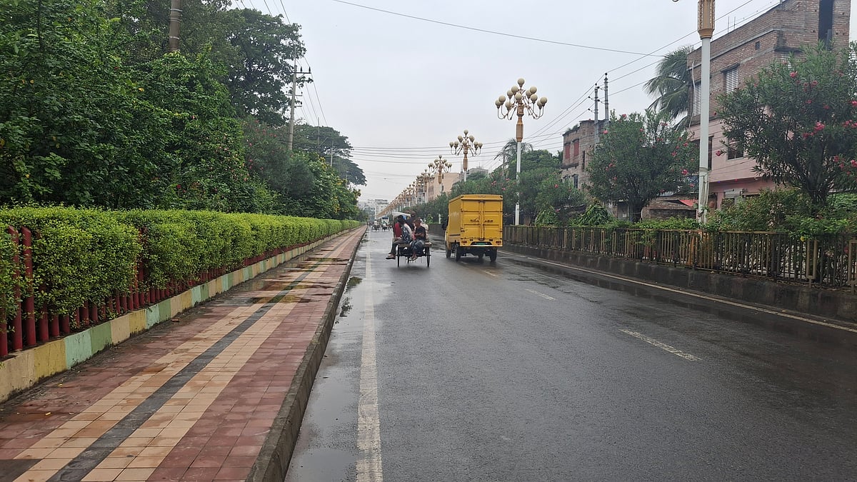 রাজশাহী নগরে বৃষ্টির মধ্যে গাছগুলো সজীব হয়ে উঠেছে। আজ সকালে পঞ্চবটি এলাকায়