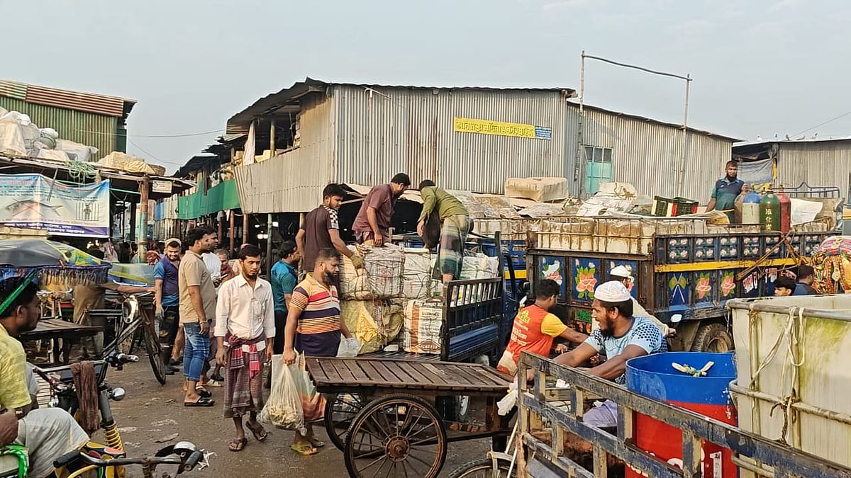 ঢাকার গাবতলী–মোহাম্মদপুর বেড়িবাঁধের পাশে বিজিবি মার্কেটের দ্বীপনগর মাছের আড়ত। সম্প্রতি তোলা ছবি