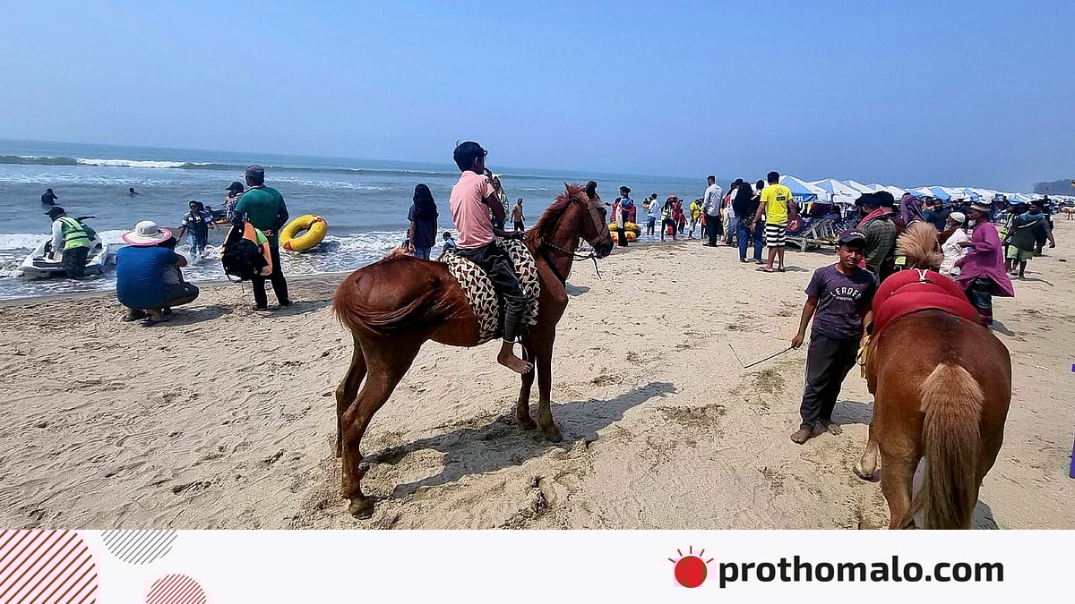 Eshakni sikayotgan odamni tomosha qiling Dam olish uchun Krasnoyarsk fohishalari