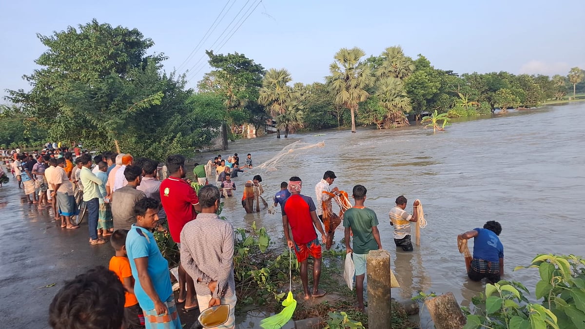 রাজশাহীর গোদাগাড়ী উপজেলার প্রসাদ পাড়া গ্রামে এক রাতের বৃষ্টিতে তলিয়ে গেছে আধা পাকা আমন ধানের মাঠ। ভেসে গেছে রাস্তাঘাট পুকুরের মাছ। শনিবার বিকেলে প্রসাদ পাড়া গ্রামে