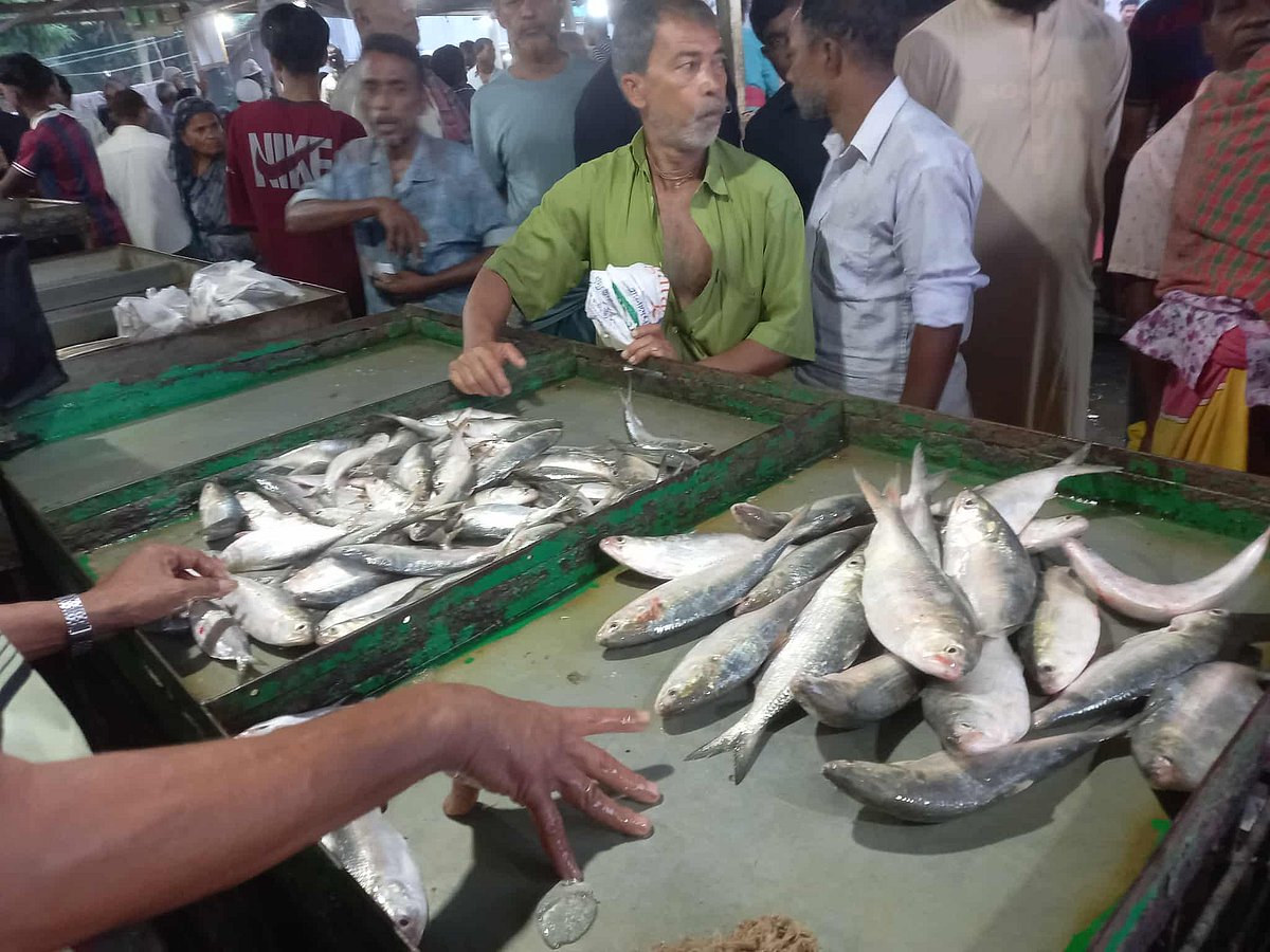 তাজা মাছ বেচাকেনায় সরগরম বাবুরবাজার হাট। চাঁদপুরের মতলব উত্তর উপজেলার ষাটনল এলাকায়। গতকাল শুক্রবার সকালে তোলা