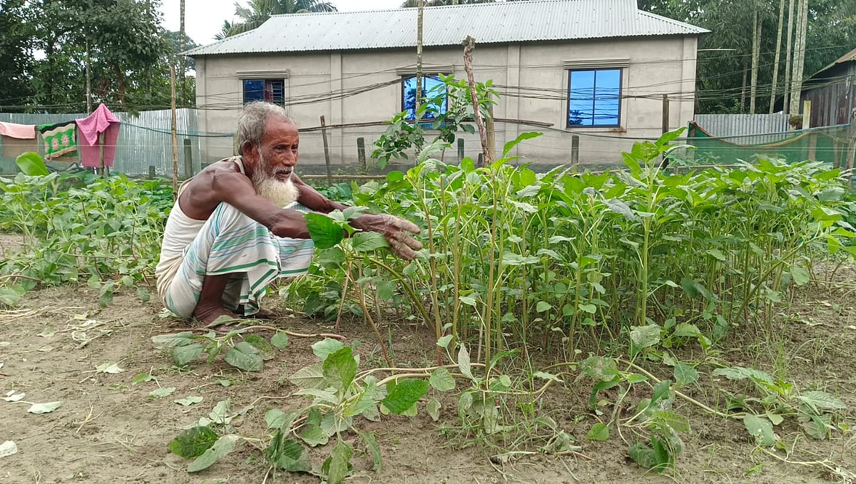 অসময়ের বৃষ্টিতে নিজের সবজিখেতের ক্ষতির কথা বলছিলেন ময়মনসিংহ সদরের বয়রা গ্রামের কৃষক শাম্মত আলী। রোববার দুপুরে