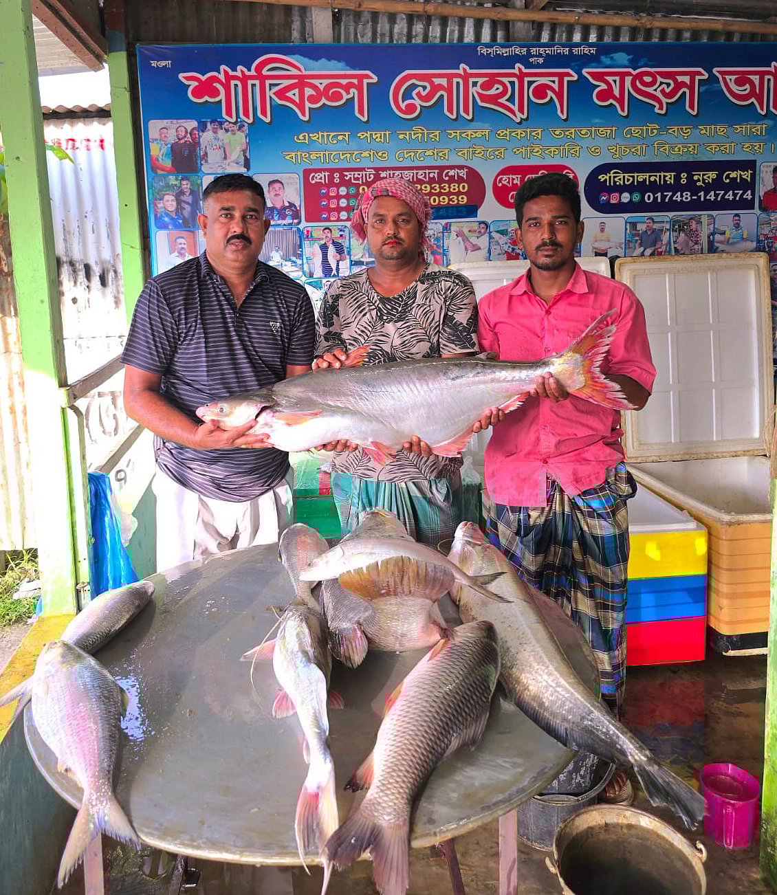 রাজবাড়ীতে ২৬ কেজি ওজনের একটি পাঙাশ মাছ নিলামে ৬৮ হাজার টাকায় বিক্রি হয়েছে। আজ রোববার