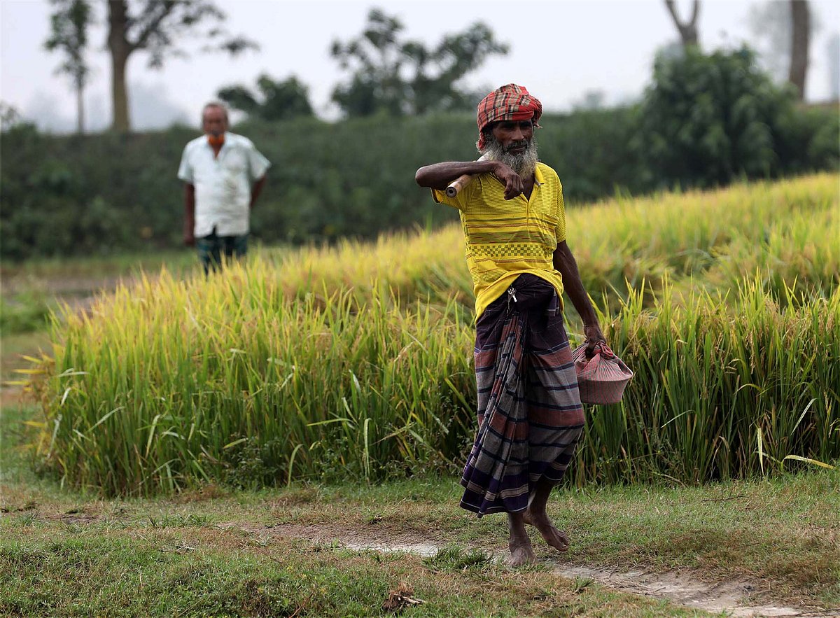 সাতসকালে মাঠে কাজে যাওয়ার সময় খাবার বেঁধে নিয়েছেন কৃষক। ঝাঁজর, শেরপুর।