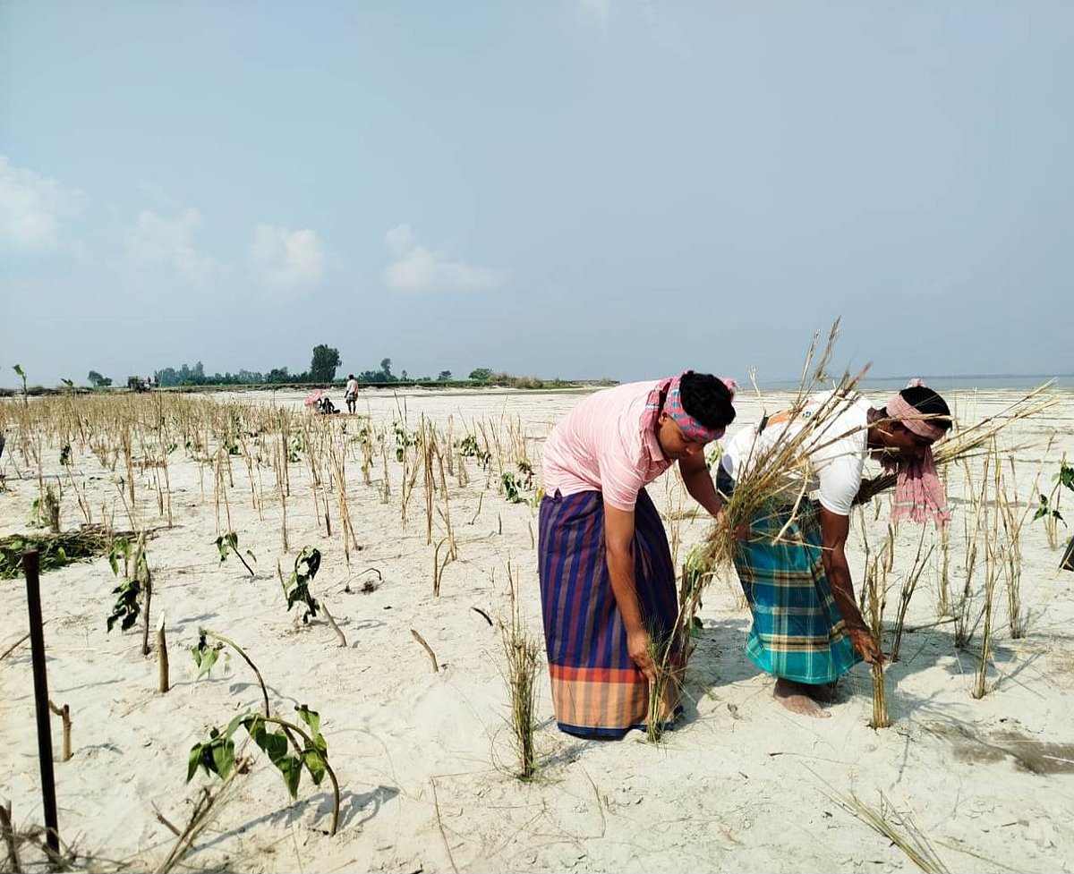 কুড়িগ্রামে ব্রহ্মপুত্র নদের ভাঙন ঠেকাতে গ্রামবাসী প্রাকৃতিক বাঁধ নির্মাণ করেছেন। সম্প্রতি চিলমারী উপজেলার নয়ারহাট ইউনিয়নের খেরুয়ার চর এলাকায়