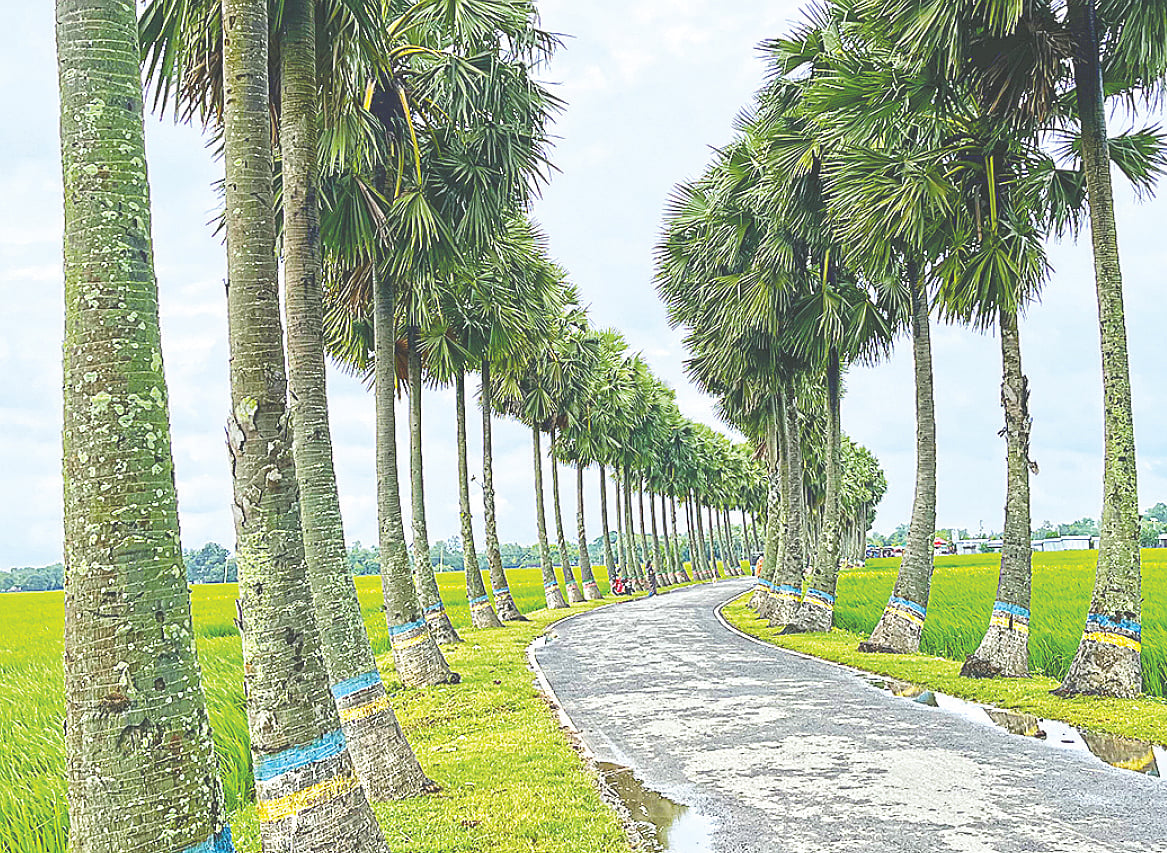 নওগাঁ জেলার হাজীনগর ইউনিয়নের প্রায় ২ কিলোমিটার সড়কজুড়ে এই তালসড়কের অবস্থান