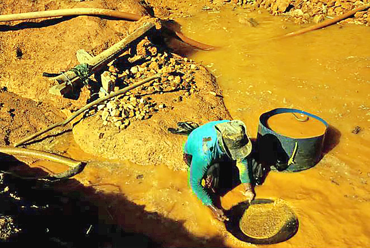 ব্রাজিলের একটি খনি থেকে সোনা আহরণ করছেন এক শ্রমিক