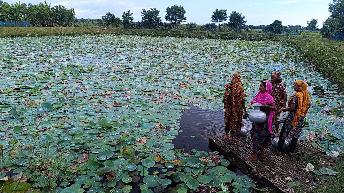 খুলনার কয়রা উপজেলার নয়ানী গ্রামের এক পদ্মপুকুর থেকে খাওয়ার পানি সংগ্রহ করেন নারীরা
