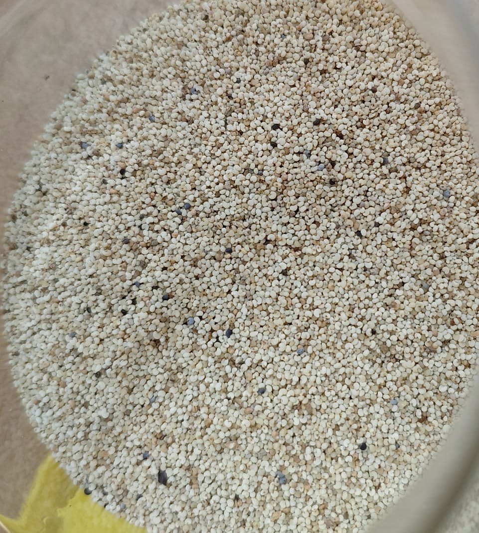 Онлайн порно: қыз мас болады Ең жақсы HD порностудиялары