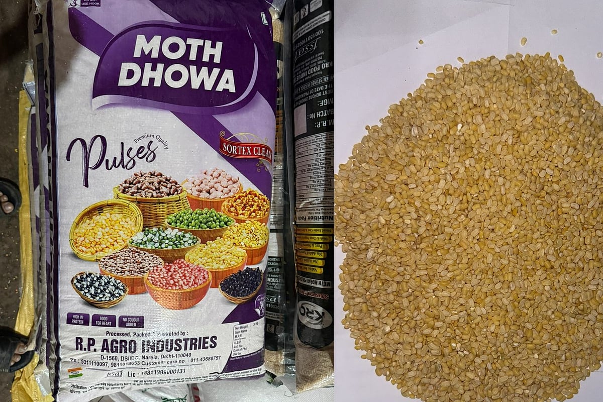 Trans eshak yalagan surat Mobil orgazm java