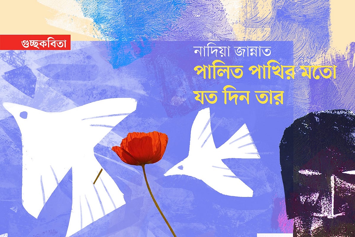 অলংকরণ: এস এম রাকিবুর রহমান