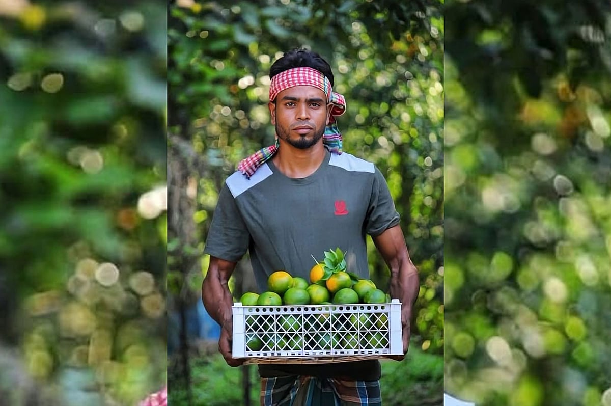 নিজেদের বাগানের কমলা নিয়ে তোফায়েল আহমদ। মৌলভীবাজারের জুড়ী উপজেলার রুপাছড়া এলাকায়