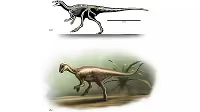 জুরাসিক যুগের ছোট ডাইনোসরের খোঁজ মিলেছে