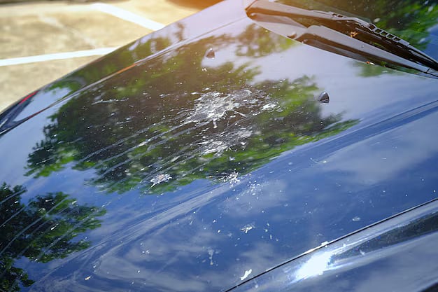 গবেষণায় দেখা গেছে, পাখিরা নির্দিষ্ট কিছু গাড়িকেই মলত্যাগের জন্য বেশি পছন্দ করে