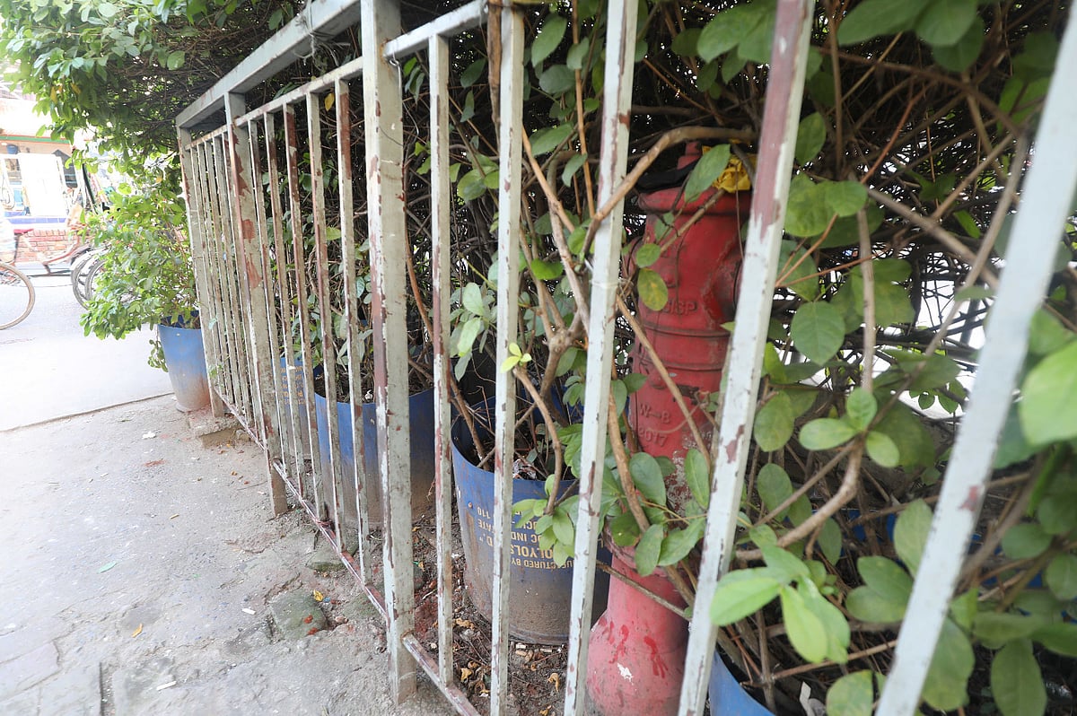 ব্যবহার না হওয়ায় নগরের প্রবর্তকে মিমি সুপার মার্কেটের সামনে স্থাপন করা ফায়ার হাইড্রেন্ট ঢাকা পড়েছে লতাগুল্মে। গতকাল বিকেলে