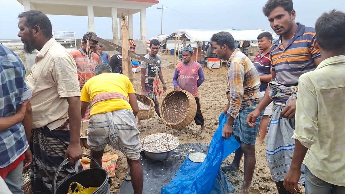 এক বিলের ধান চাষের পাশাপাশি মৎস্য আরোহণ করেন চাঁপাইনবাবগঞ্জের গোমস্তাপুর উপজেলার জেলেরা। আজ সকালে বিলের ঘাটে পাঁচটি আড়তে চলছে মাছের কারবার। সম্প্রতি তোলা