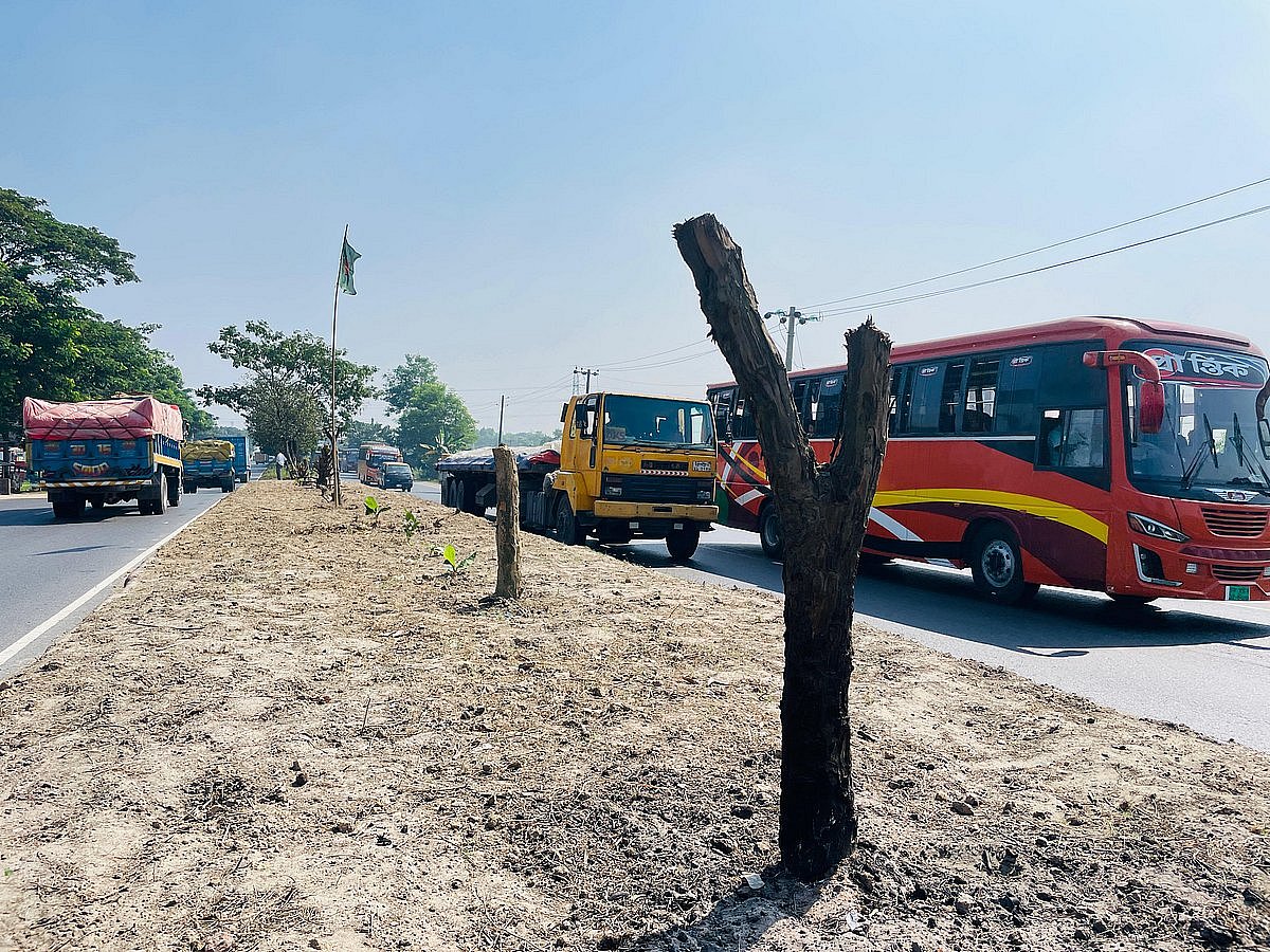 কুমিল্লা সদর দক্ষিণ উপজেলার বেলতলী এলাকায় ঢাকা-চট্টগ্রাম মহাসড়কের বিভাজকে থাকা বকুল গাছগুলো হত্যা করা হয়েছে। কোথাও আগুনে পোড়া গাছগুলো দাঁড়িয়ে রয়েছে। গত বুধবার বেলা ১২টার দিকে তোলা