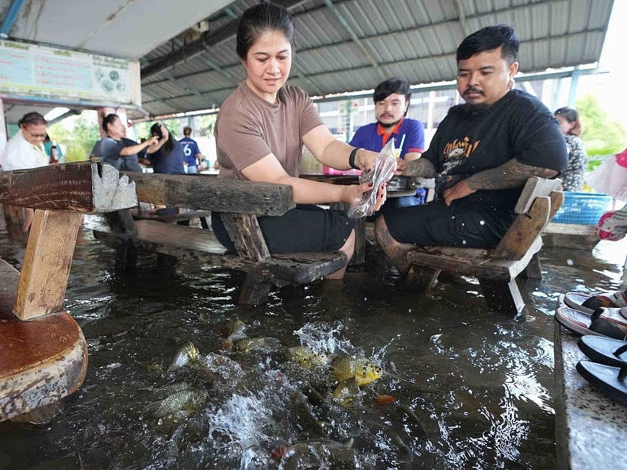 রেস্তোরাঁয় মেঝেতে ঘুরে বেড়ানো মাছকে খাবার দিচ্ছেন এক ভোজনরসিক