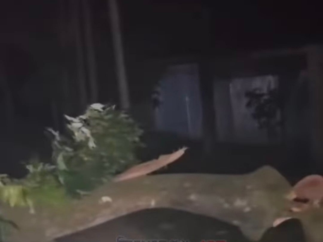 কিশোরগঞ্জের পাকুন্দিয়া উপজেলার শ্রীরামদী এলাকায় সড়কের ওপর বড় একটি লিচুগাছ কেটে সড়ক অবরোধ করে দুর্বৃত্তরা। এ ঘটনায় কিশোরগঞ্জ-পাকুন্দিয়া সড়কে যানবাহন চলাচল বন্ধ হয়ে যায়