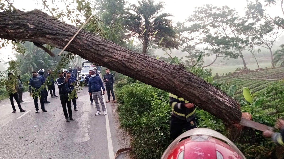 রাজৈর উপজেলার কামালদী এলাকায় মহাসড়কে গাছ ফেলা হয়। আজ মঙ্গলবার