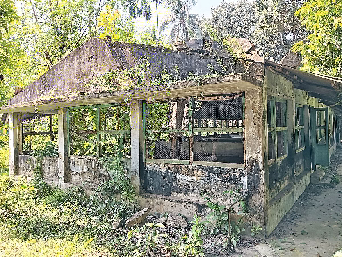 সংস্কারের অভাবে জরাজীর্ণ অবস্থায় পড়ে আছে রাজবাড়ীর সরকারি মুরগি প্রজনন ও উন্নয়ন খামার। সম্প্রতি তোলা