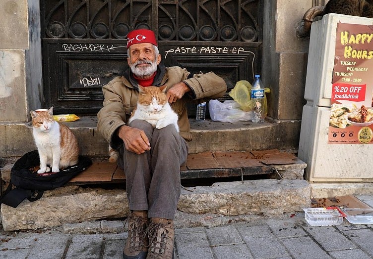 বিড়ালের সঙ্গে ইস্তাম্বুলের এক বাসিন্দা