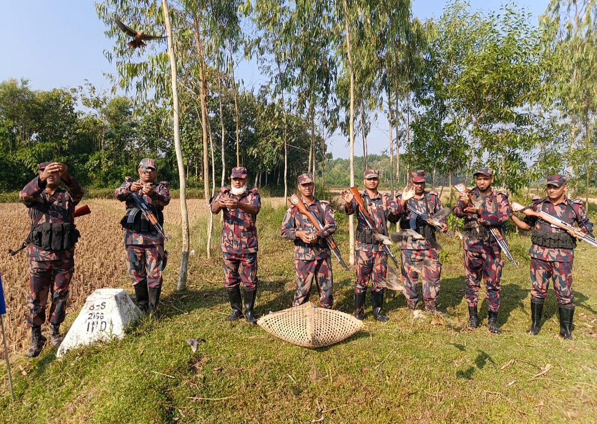 উদ্ধার হওয়া বাঁশের খাঁচার পাশে বিজিবি সদস্যরা। আজ সকালে ফেনীর পরশুরাম উপজেলার গুথুমা এলাকায়