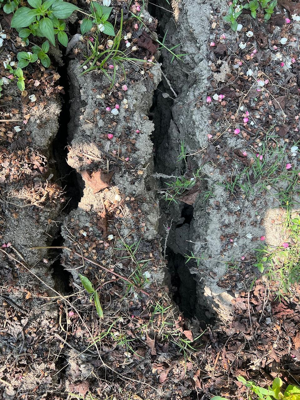 নরসিংদীর ভূমিকম্পকে কেন বোঝা জরুরি