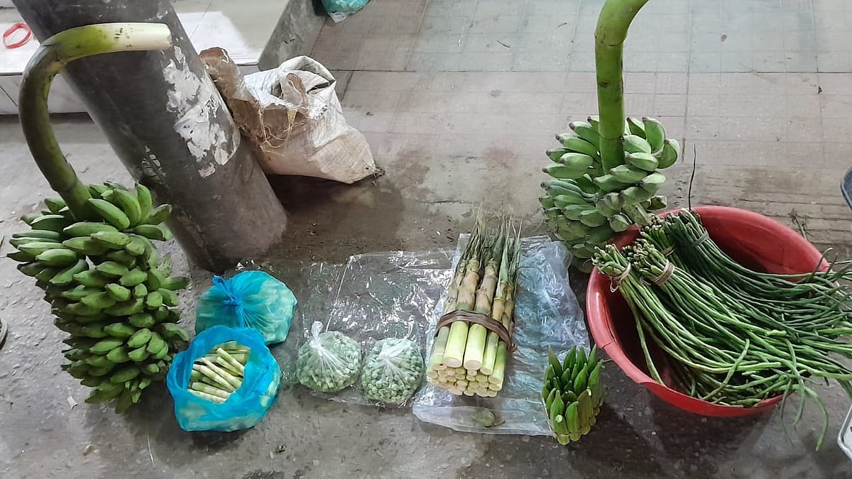 পাহাড়ের গায়ে জুমে চাষ করা বিষমুক্ত টাটকা শাকসবজি