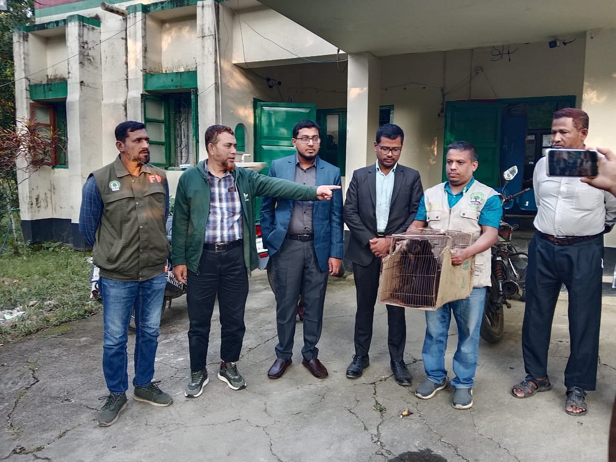 বান্দরবানের আলীকদম বাজার থেকে উদ্ধার করা ভালুকের ছানা