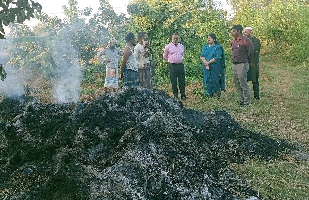 কৃষক সোলেমানের কেটে রাখা ধান পুড়িয়ে দিয়েছে দুর্বৃত্তরা। পোড়া ধানের স্তূপ উপজেলার ইউএনওসহ প্রশাসনের কর্মকর্তাদের দেখাচ্ছেন তিনি। আজ বিকেলে ফুলগাজী উপজেলার জিএমহাট ইউনিয়নের নুরপুর গ্রামে