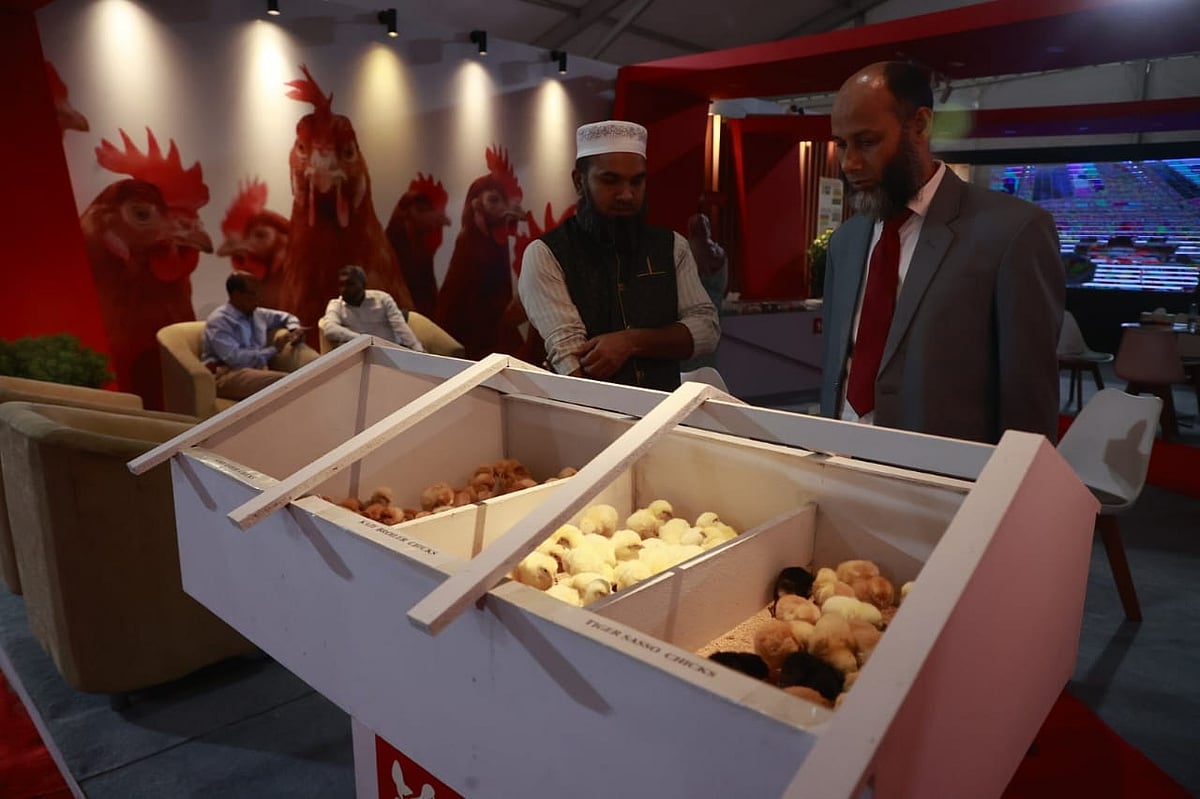 জাতীয় প্রাণিসম্পদ সপ্তাহ উপলক্ষে আয়োজিত প্রাণিসম্পদ প্রদর্শনীতে ফরাসি জাতের হাঁসের বাচ্চা নিয়ে এসেছে প্ল্যানেট অ্যাগ্রো নামের একটি প্রতিষ্ঠান। আজ রাজধানীর শেরেবাংলা নগরের পুরোনো বাণিজ্য মেলা মাঠে