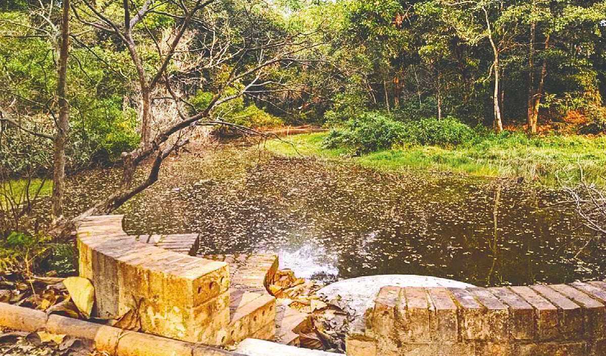 চুয়েটের দৃষ্টিনন্দন হ্রদটি এখন ময়লার ভাগাড়। দুর্গন্ধ আর মশার কারণে শিক্ষার্থীরাও তেমন যান না। সম্প্রতি তোলা