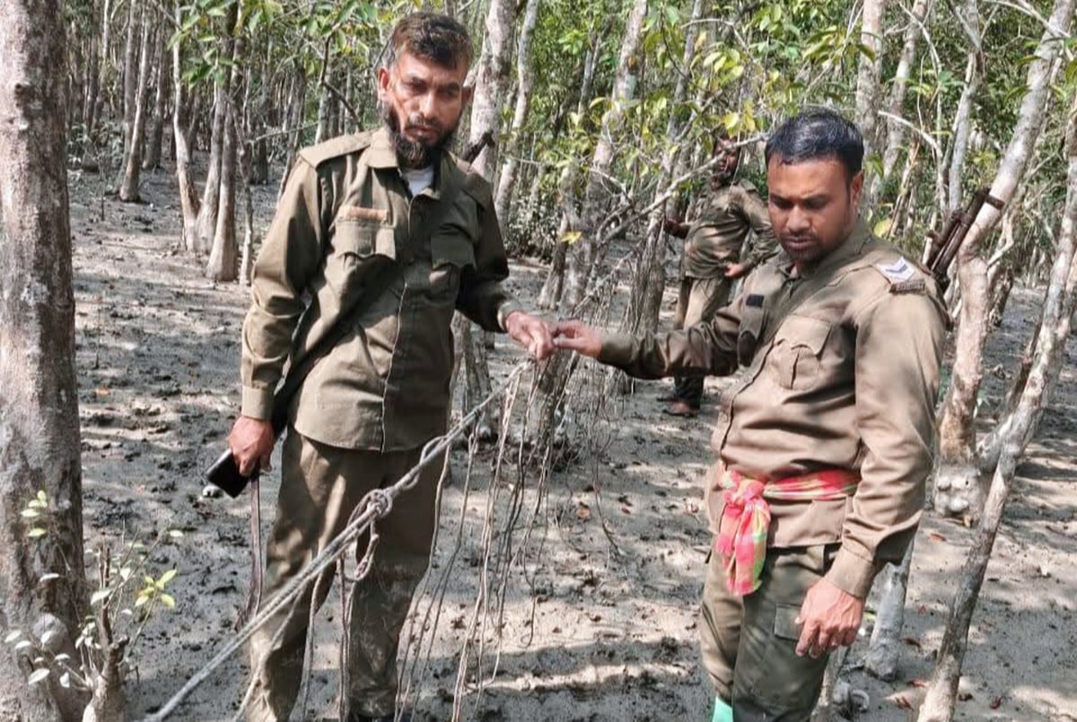সুন্দরবনের গহিন জঙ্গলে গাছের মধ্যে পাতা হরিণ শিকারের ফাঁদ জব্দ করেছেন বনরক্ষীরা। গত বুধবার সুন্দরবনের বেতমোড় নদীর পশ্চিম পাড়ের বনাঞ্চলে