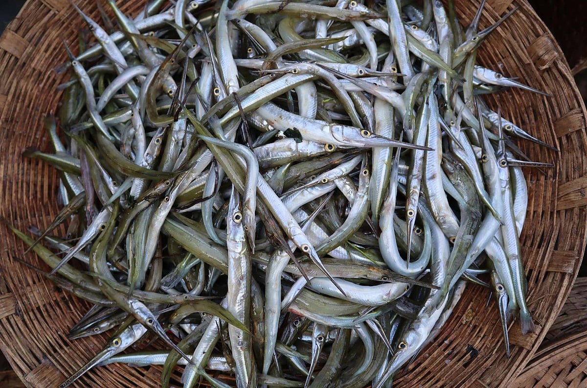 মৌলভীবাজার জেলা শহরসহ দূরের অনেক ক্রেতাই তাজা মাছ কিনতে ভোরবেলায় ওয়াপদা-কাশিমপুর হাটে আসেন