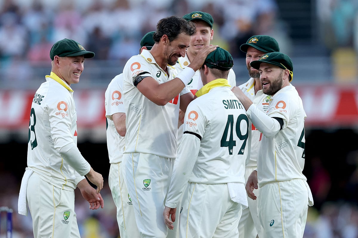 হ্যারি ব্রুককে ফিরিয়ে স্টার্কের উদ্‌যাপন