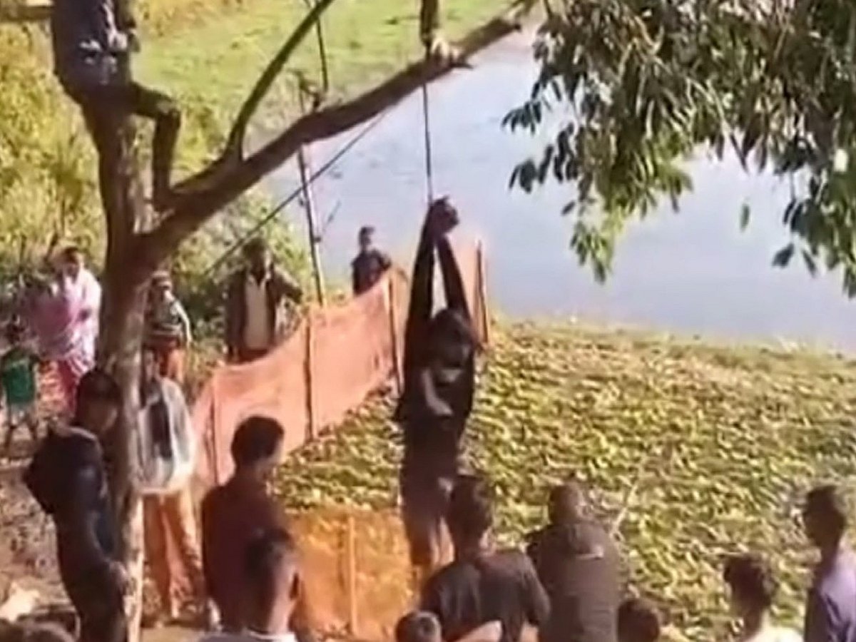 সিলেটের কোম্পানীগঞ্জে চোর সন্দেহে গাছে ঝুলিয়ে রাখা হয় এক যুবককে। গতকাল সকালে দক্ষিণ বুড়দেও গ্রামে