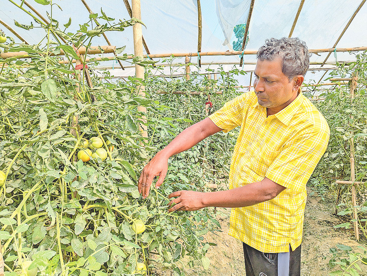 কাজী জামাল উদ্দিন ২৫ বছরের পরিশ্রমে জেলার অন্যতম সফল কৃষি উদ্যোক্তা