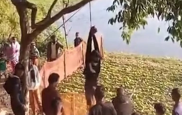 সিলেটের কোম্পানীগঞ্জে চোর সন্দেহে গাছে ঝুলিয়ে নির্যাতন করা হয় দৃষ্টিপ্রতিবন্ধী এক যুবককে।