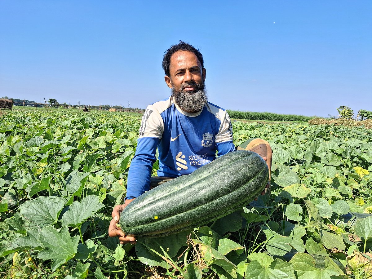 সফল বাঙ্গিচাষি আবদুস সাত্তার। সম্প্রতি কুমিল্লার তিতাস উপজেলার বলরামপুর ইউনিয়নের ঐচারচর গ্রামে