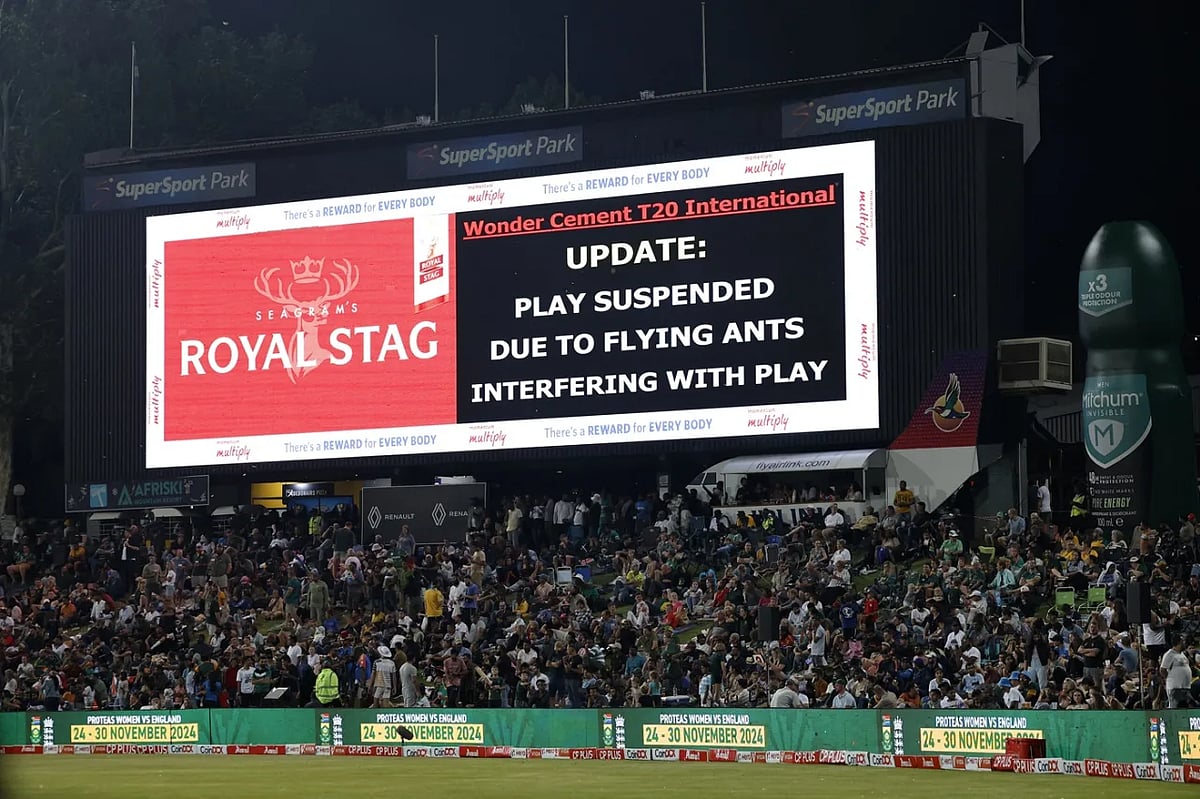 ২০২৪ সালে পিঁপড়ার কারণে বন্ধ ছিল ভারত–দক্ষিণ আফ্রিকা ম্যাচ