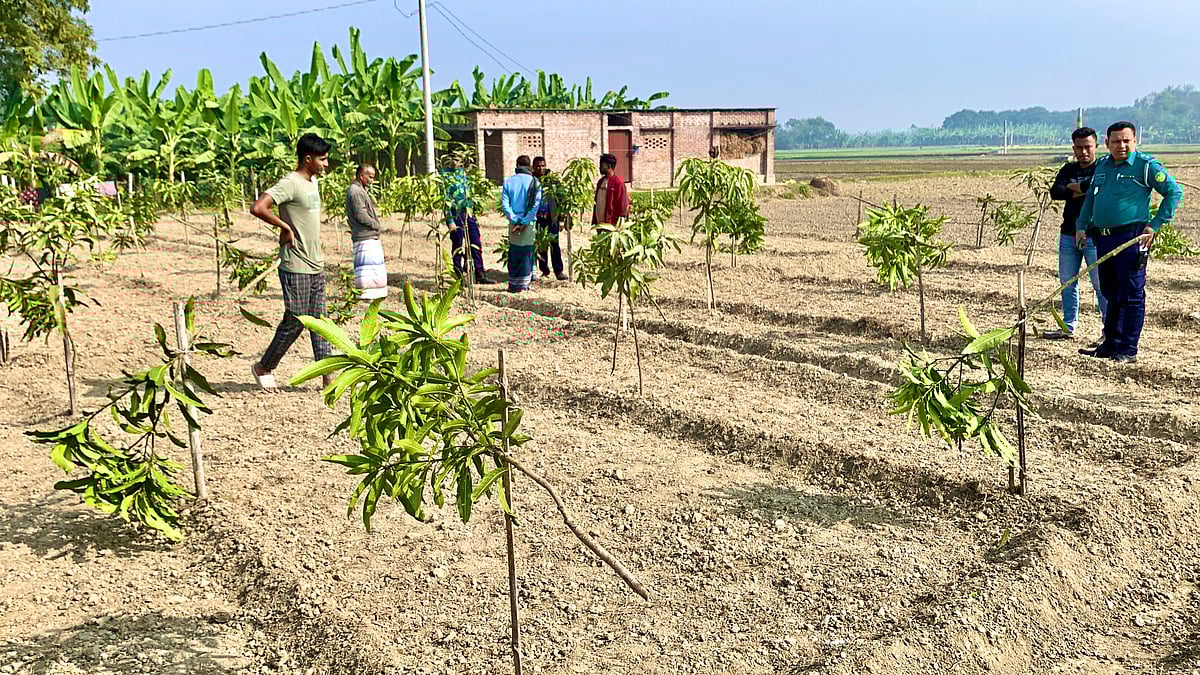 রাজশাহীর পবায় এক রাতে এক চাষির আমবাগানের ১১৭টি গাছ কেটে ফেলেছে দুর্বৃত্তরা। আজ বুধবার সকালে রাজশাহীর পবা উপজেলার কাজীপাড়া মহল্লায়