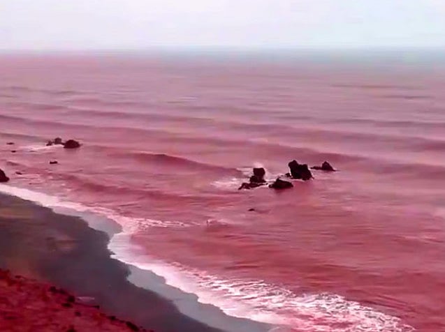 ইরানের হরমুজ দ্বীপের উপকূলের পানি গত মঙ্গলবার বৃষ্টির পর লাল রং ধারণ করে