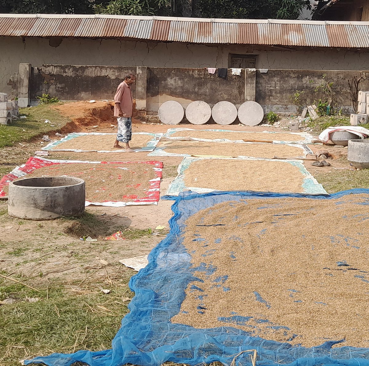 পাঠকের ছবি (২০ ডিসেম্বর ২০২৫)