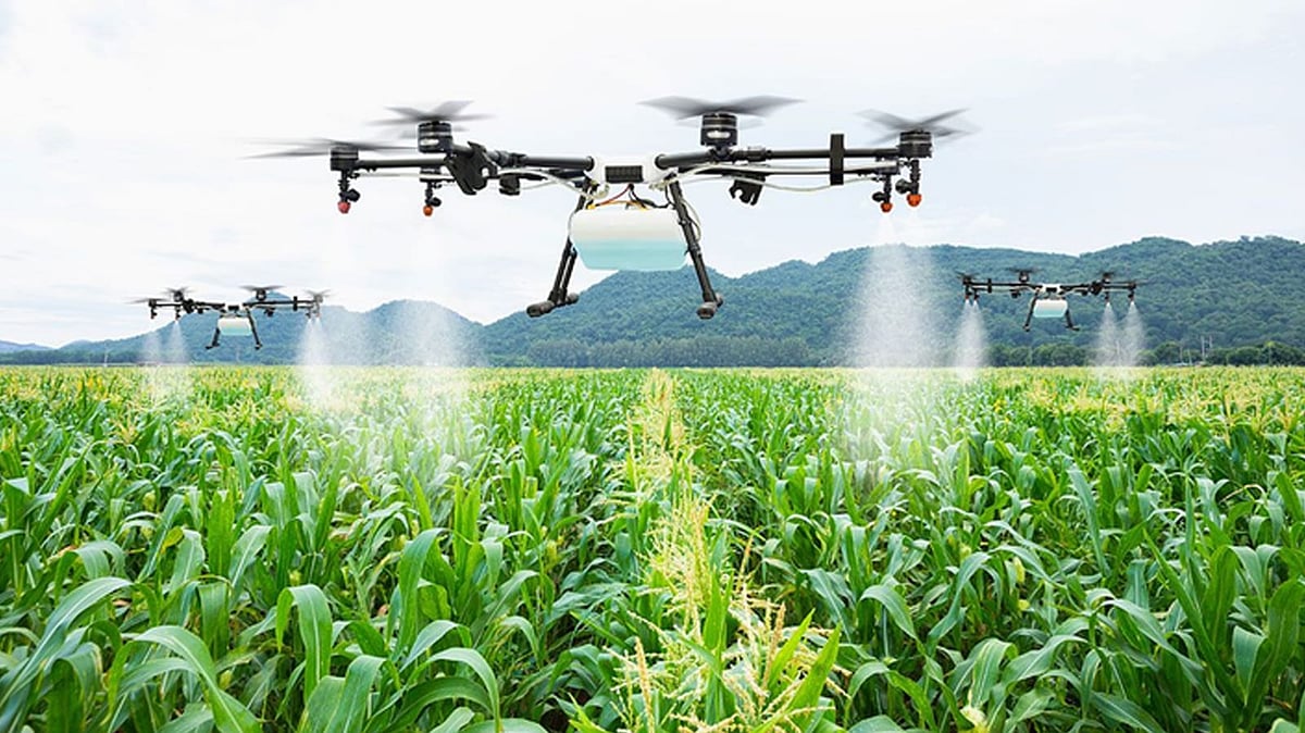 সার ও কীটনাশক ছিটাতে ব্যবহার হচ্ছে ড্রোন