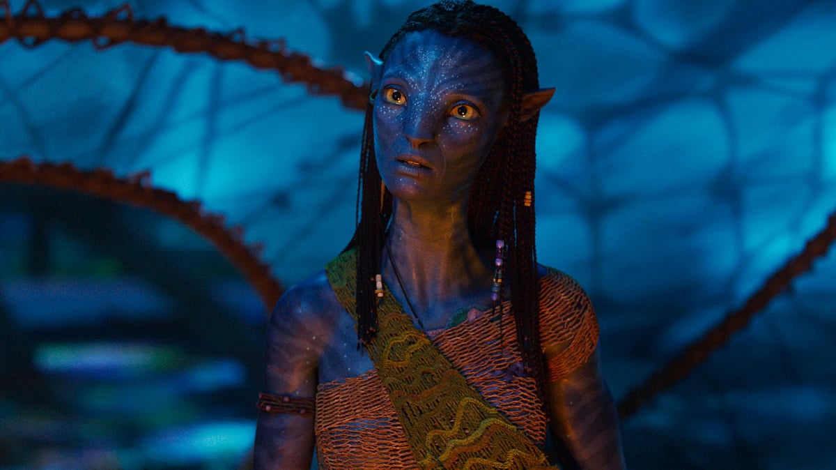 ‘অ্যাভাটার: ফায়ার অ্যান্ড অ্যাশ’–এর দৃশ্য। আইএমডিবি