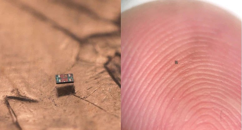 বিশ্বের ক্ষুদ্রতম রোবট