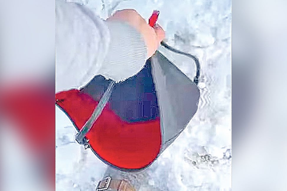 ডাস্টবিনের পাশে কুড়িয়ে পাওয়া লুই ভুইতোঁ ব্যাগ