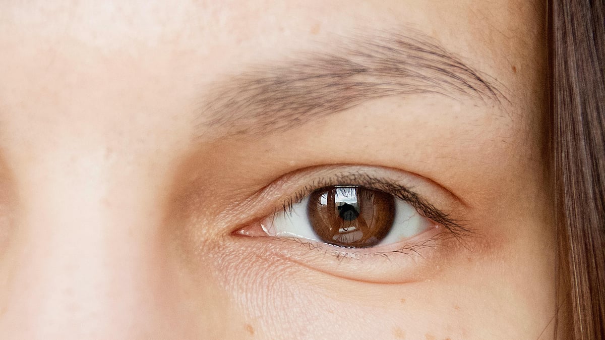 চোখের রেটিনায় চিপ বসিয়ে বই বা পত্রিকা পড়তে পারছেন ৮৭ বছর বয়সী ফ্রান্সের এক নারী